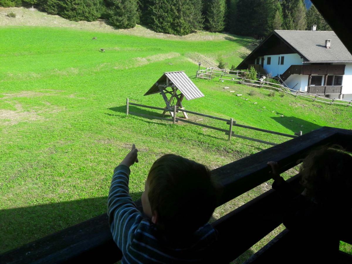 Chalet Relax ปอซซาดิฟัซซา ภายนอก รูปภาพ